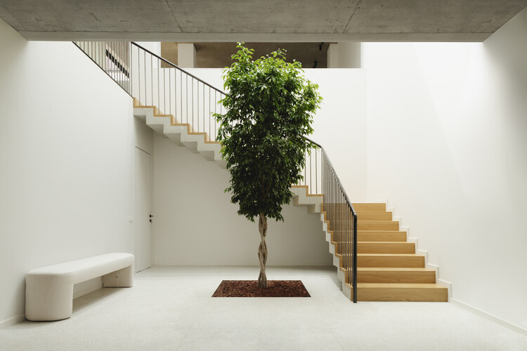 Sebuah Karya Arsitektur Unik : Rumah di Sekitar Pohon TIMM 6